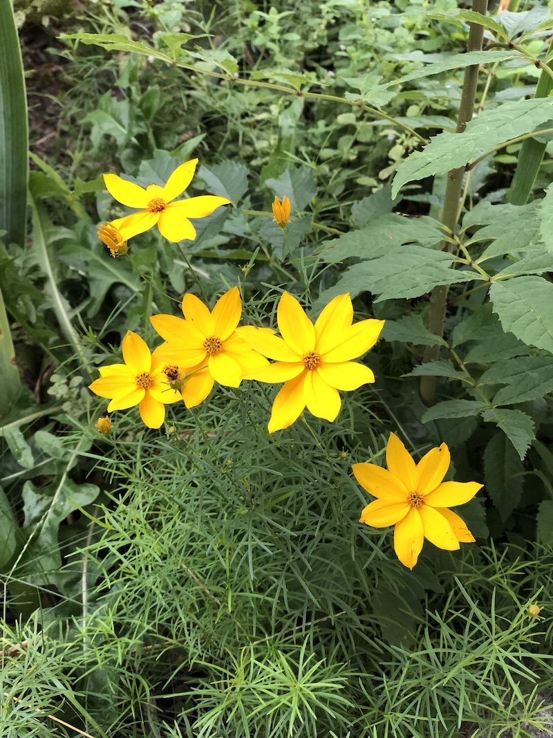 Natürlich Erfolg – Erfolg mit Natur